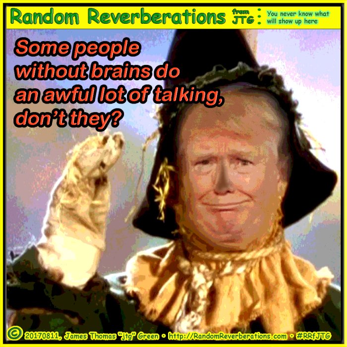 MagicMark9's tweet photo. @RandyRainbow Beyond Brilliant Loved the Dorothy outfit #RandyRainbow2020 @realDonaldTrump has #PeckerProblems #WorstPresidentEver The Wizard of #Odd If he only had a brain #VoteBlueToSaveAmerica https://t.co/OpWOGXSWox