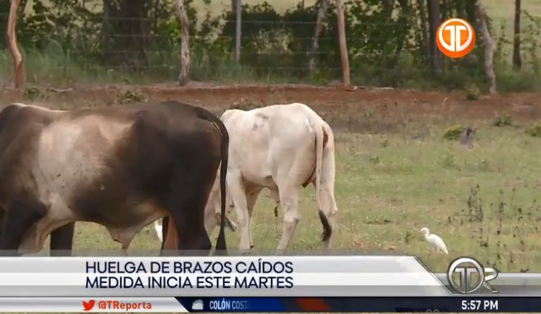 Telemetro Reporta tweet media