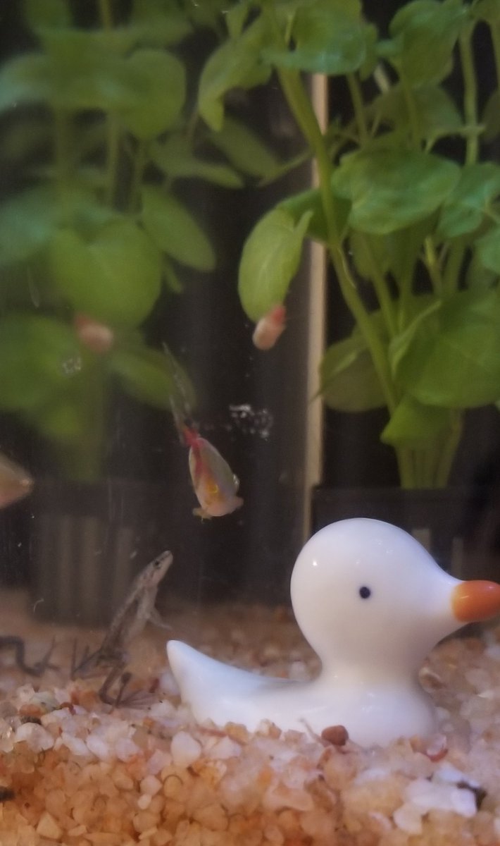 負ける気がしねぇ 負ける気がしねぇ