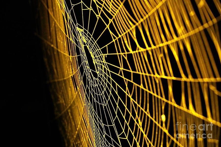 ᴡɪᴛʜ ᴀ ʜᴇᴀʀᴛ ᴏғ ｇｏｌｄ

sᴜᴘᴇʀ ʜᴇʀᴏ ᴏᴄ!
⠀ᴇxᴘᴇʀɪᴇɴᴄᴇᴅ ᴡʀɪᴛᴇʀ
⠀ ⠀ɴᴏᴛ ɴᴇᴡ ᴛᴏ ᴛʜᴇ ᴠᴇʀsᴇ

ʟᴏᴏᴋɪɴɢ ғᴏʀ ʀᴘs!

《#Foof#》