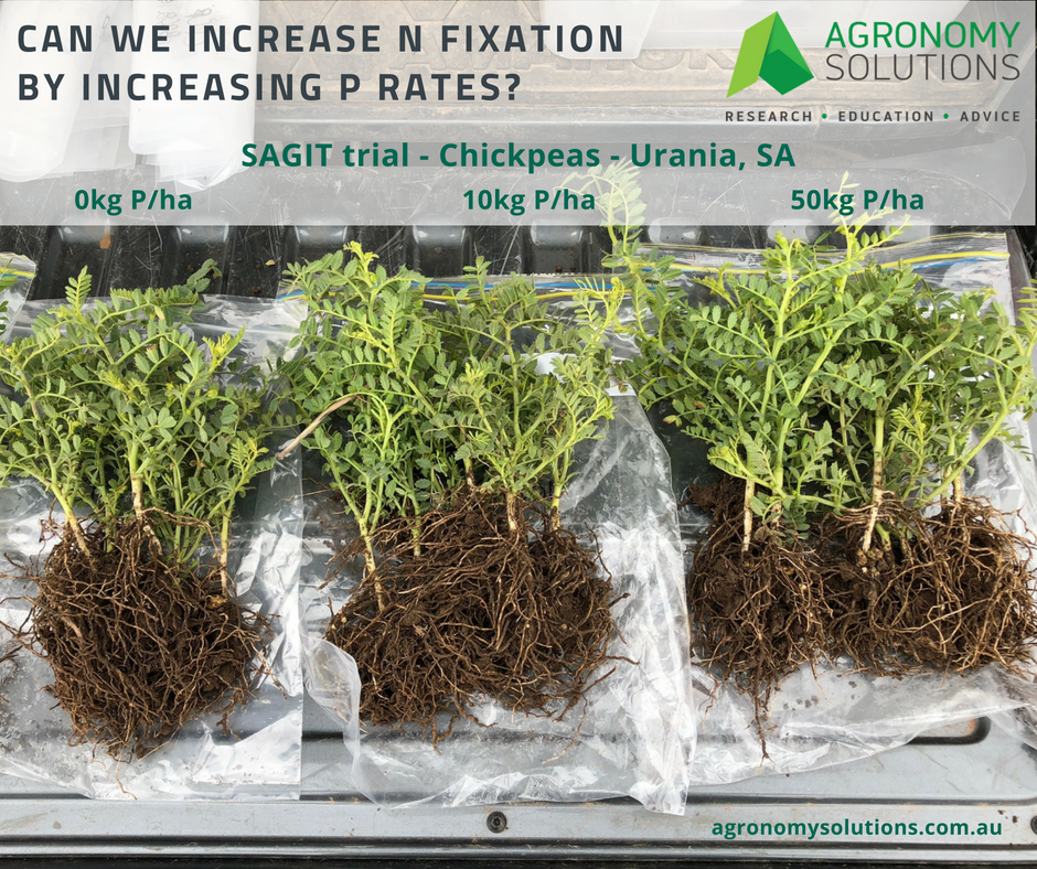 Agronomy Solutions tweet media