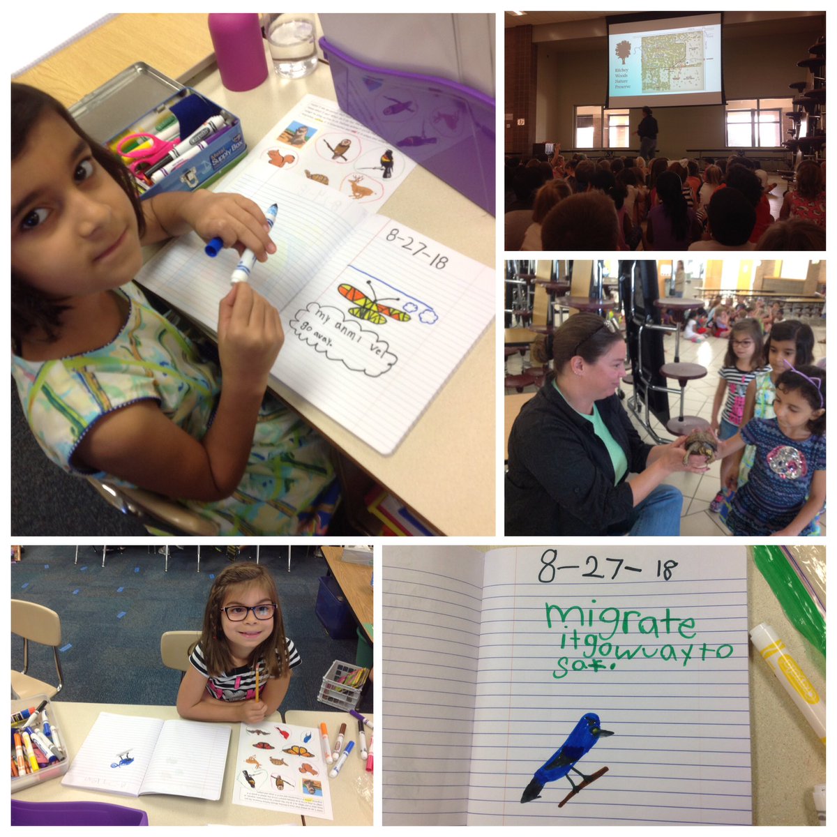 Mrsrisingernbe's tweet photo. Kicking off the Nature First partnership! Map skills and great vocabulary + a visit by Shelby the box turtle! https://t.co/N9V7yTMcY3