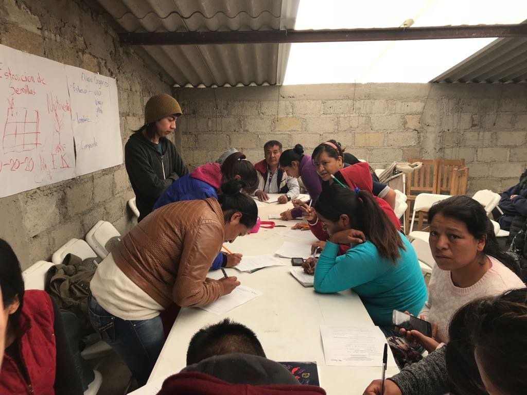 incarural's tweet photo. Seguimiento entidad de capacitación y consultoría Perspectiva Agraria Productiva A.C. Producción de Hortalizas a jóvenes de San Pedro y La Concepcion Ixtlahuaca, Estado de México. https://t.co/CDGAHnzhpU