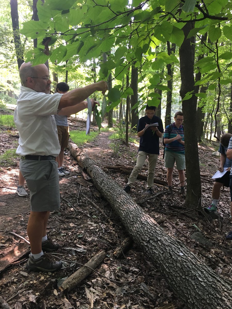 mrr321_ees's tweet photo. Had a great first day exploring lehigh’s experimental forest and identifying trees with @LehighEcology! #ees152 https://t.co/3tFy29OEqu