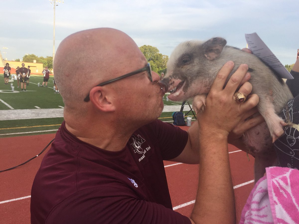 gwenelder's tweet photo. Mr. Fry honored his word  and kissed a pig.@AMCHSWeb @amcbands https://t.co/rJSi143PBd