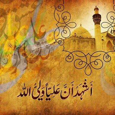 SyedAghaAli110's tweet image. #NeverForgetGhadeer