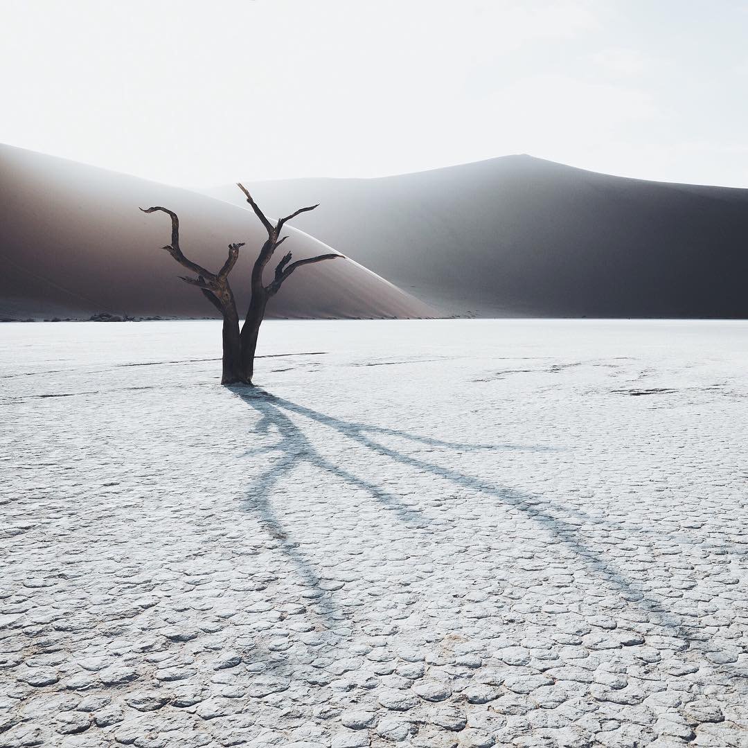 earthescope's tweet photo. Deadvlei, Namibia | Photography by Hannes Becker https://t.co/JlJNKCiwHG