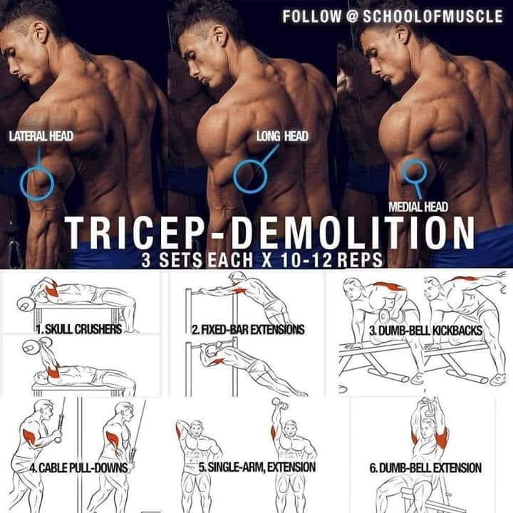 TerminatorFat's tweet photo. تمارين للتراي مه�� جدا نكون بنلعب بزوايا مختلفة علشان التناسق العضلي💪 https://t.co/b8kSVuc7Z5