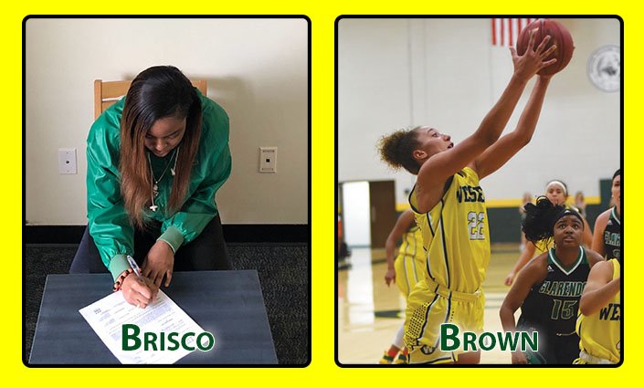 The following student-athletes have transferred to Felician and signed @NLIinsider for @FelicianU_WBB:

Tayliah Brisco - @flhsnyc / @MCCTribunes 
@shae_hope22 - Tascosa HS / @westernokstate 

felicianathletics.com/sports/wbkb/20…

cc @mzpinnock @timesledger @queenstrib @amarilloglobe