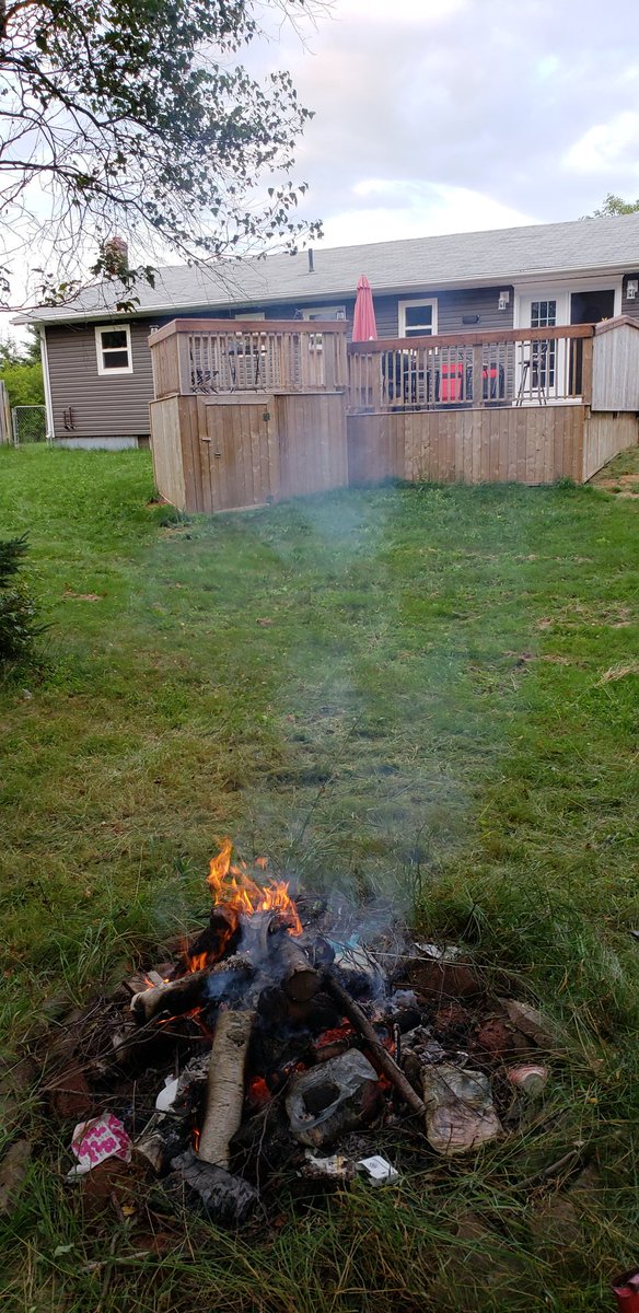 gloria649's tweet photo. Clean up the backyard https://t.co/ImnmiREPyV