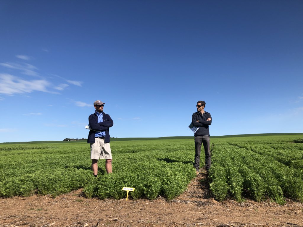 beccafreo's tweet photo. @theGRDC #southernpulseextensionproject #LEADA workshop kicking off on a perfect day, great turnout. Sam Holmes and Larn McMurray up first on lentil genetics and agronomy.  #agriculture #agchatoz #pulses #grdc https://t.co/bGCR3zBbgh