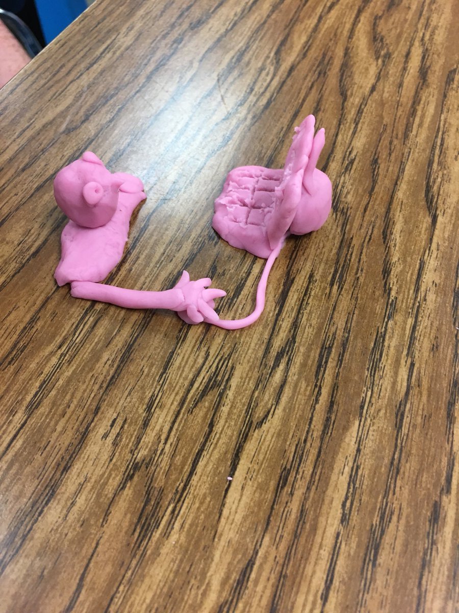 L2Tucker's tweet photo. Tucker’s 6ELA compared their playdoh creation to the writing process. Brainstormed idea fr ❤️map, began sculpting, added details, deleted items, added the final touches for presentation. Ask your child what they sculpted. #TheWestDen #LeadLMS #impactLMS https://t.co/psWggkwMuP