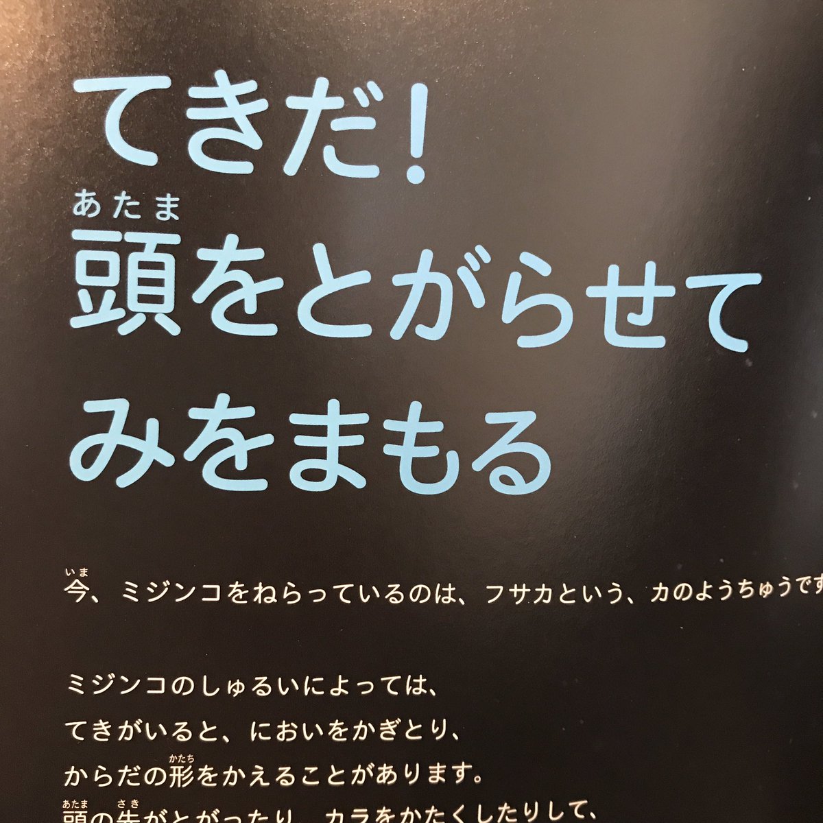 ミジンコが命の危険を察知した時にする威嚇が愛おしすぎてジワる 小さな抵抗 でも無意味でもない Togetter