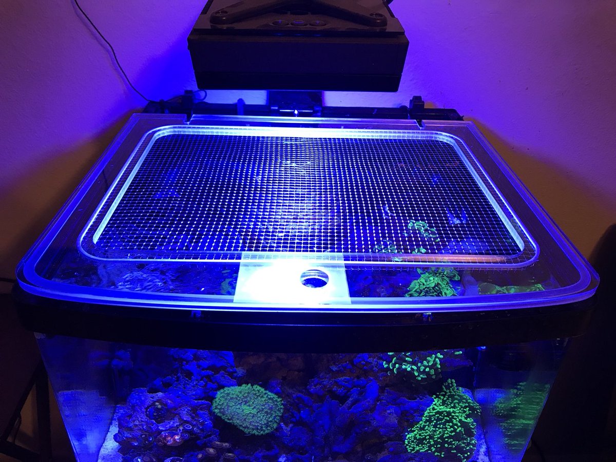 REEF2REEF's tweet photo. Custom Made Lids for Your Reef...are they worth it? Our members seem to think so! Check out this link to read what they're saying and recommendations they're making: https://t.co/az3CJAzZMG https://t.co/Lteu18sfpA