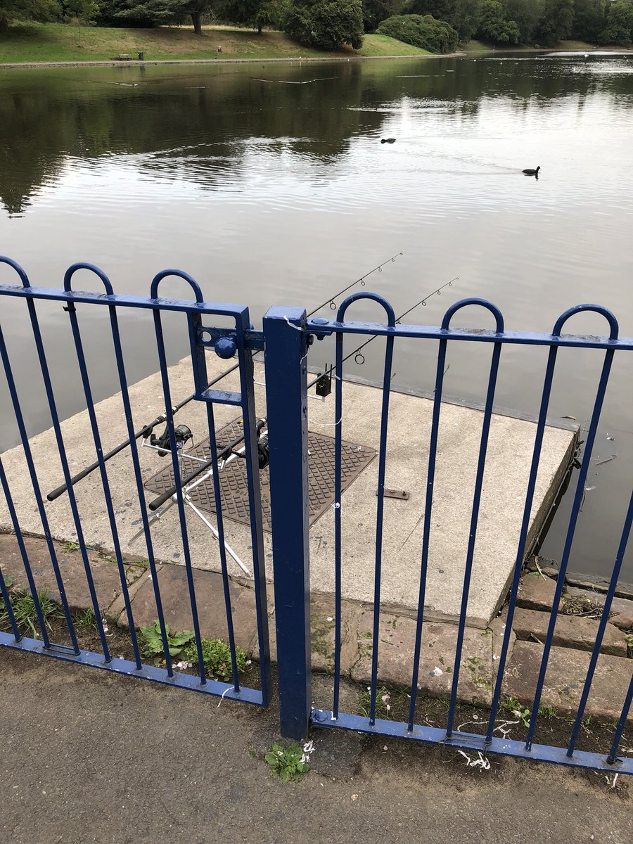 No Jericho Lane Dual Carriageway 🇺🇦🍃 tweet media