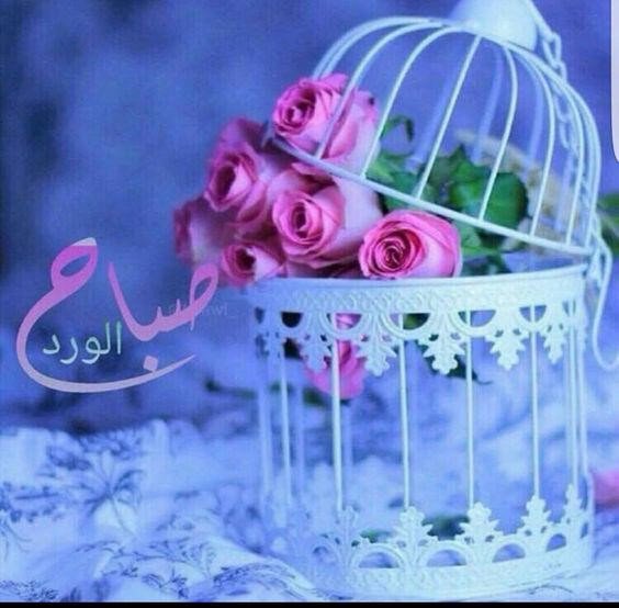 صباح الورد لأهل القلوب الطيبة