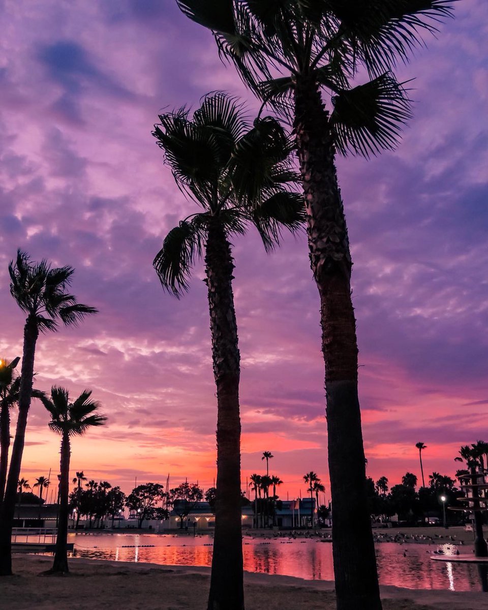 Redondo Beach tweet media