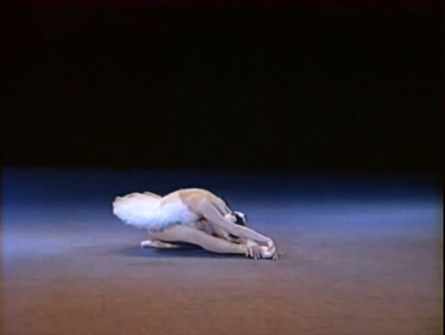 O Xrhsths Blue Cosmos Sto Twitter Le Cygne The Swan With Anna Pavlova In 1925 T Co Uborlhkgkh サン サーンスの組曲 動物の謝肉祭 の 白鳥 を音楽として用い ロシアのミハイル フォーキンがアンナ パヴロワのために振り付け O Xrhsths Blue Cosmos Sto Twitter Le Cygne The Swan With Anna Pavlova In 1925 T Co Uborlhkgkh サン サーンスの組曲 動物の謝肉祭 の 白鳥 を音楽として用い ロシアのミハイル フォーキンがアンナ パヴロワのために振り付け