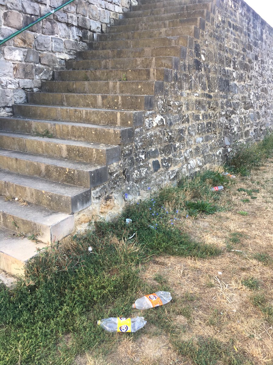 Día 1 de #fosossuciospamplona,la gente somos unos cerdos y maleducados,pero no es admisible que día sí y día también me encuentre la misma basura <a href="/PamplonaIruna/">Pamplona-Iruña</a>, cristales rotos,plásticos,latas...