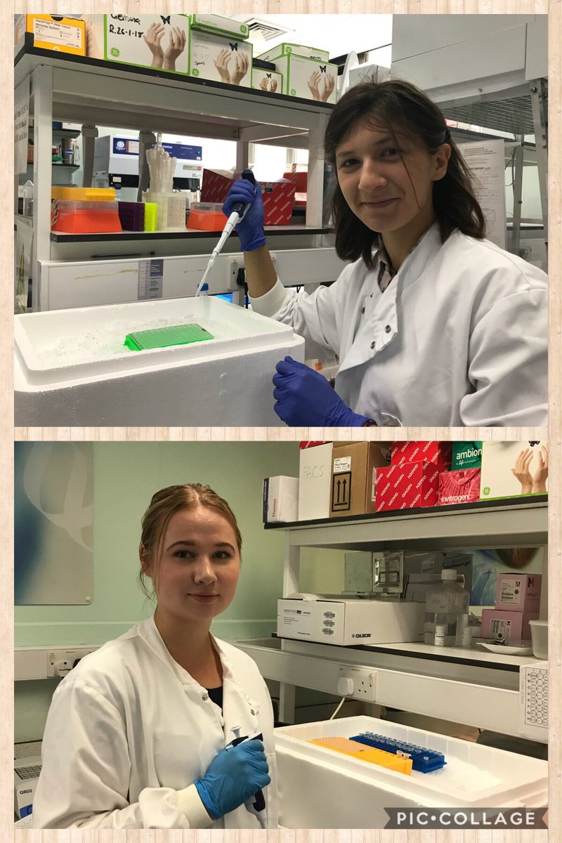 So lucky to have 2 talented @sotonbiosci students Diana and Hanna in the lab over the summer. Only 1 week left of their  #summerplacement. Thanks for funding the placement  @wellcometrust and @ThePhySoc @unisouthampton