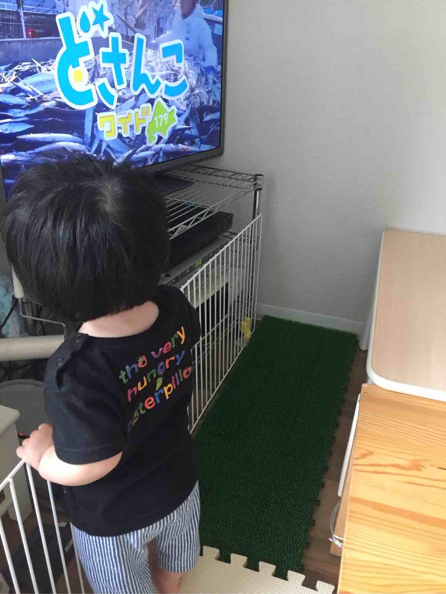 子供のテレビを見る位置が近い 壁掛けテレビにしたら改善しました ハピフォユ