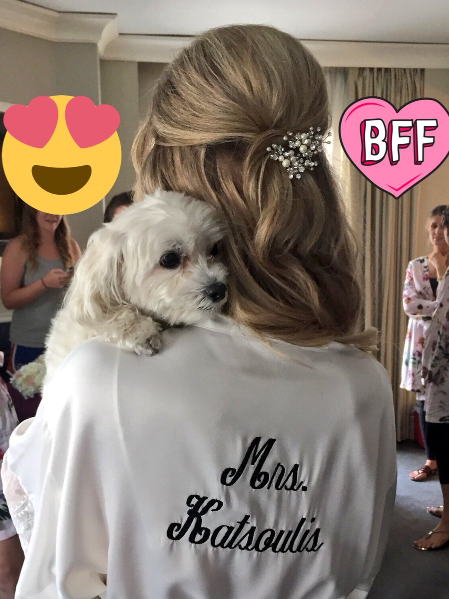 theOG_PC's tweet photo. Did I forget national dog day? I could NEVER disrespect Yanni like that! #betterlatethannever #yannipolychronos 🐾🐶 https://t.co/GOpja71aYf