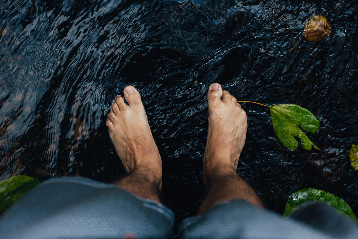 FitterFeet's tweet photo. "It is essential to look after your feet as they can literally carry you on to excellent health." #ICYMI: Walking and Foot Health. https://t.co/G5eNTRsMmc https://t.co/sOqKxTrygu