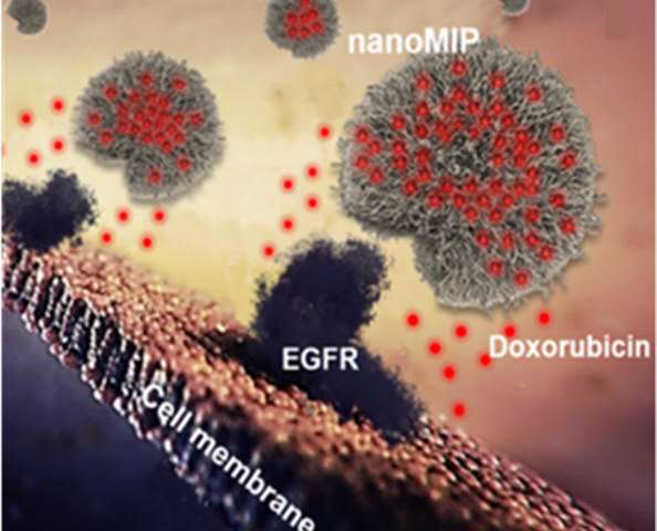 view Cuentos de vacaciones: narraciones pseudocientíficas