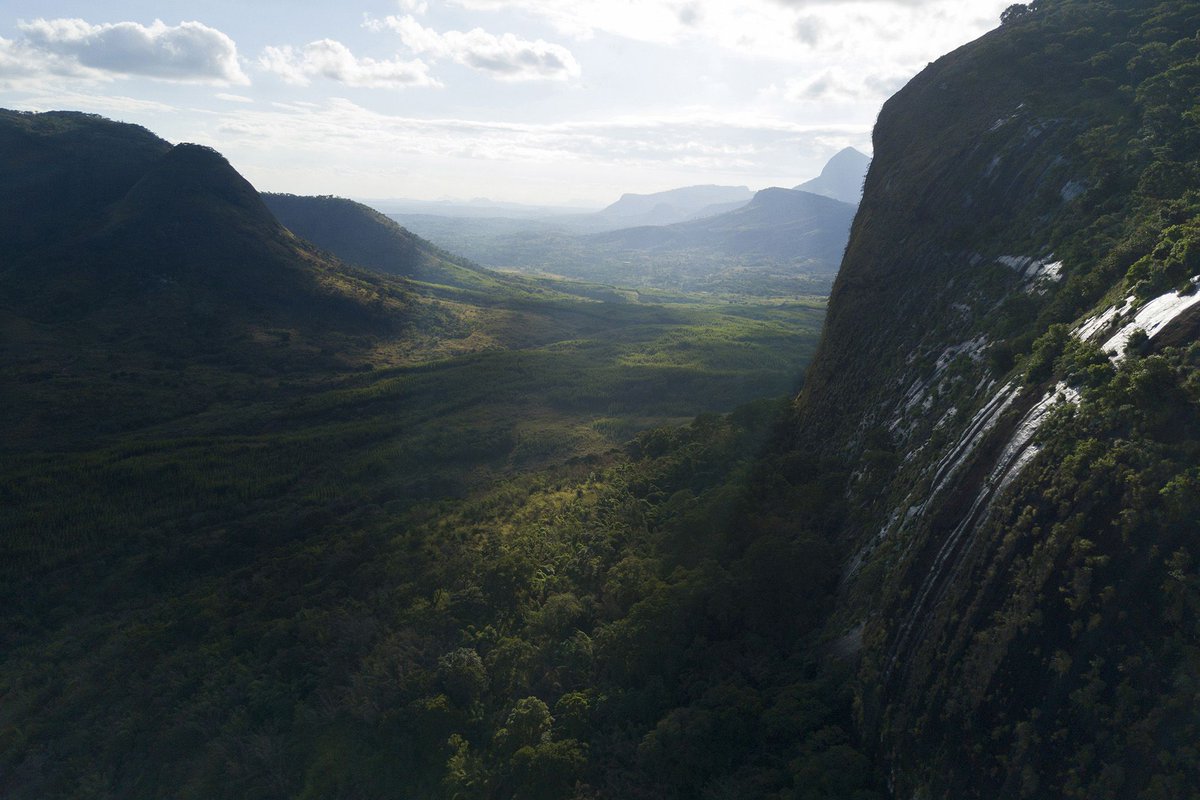 How Google Earth led a team of scientists to discover an untouched mountaintop rainforest theverge.com/2018/8/28/1777…