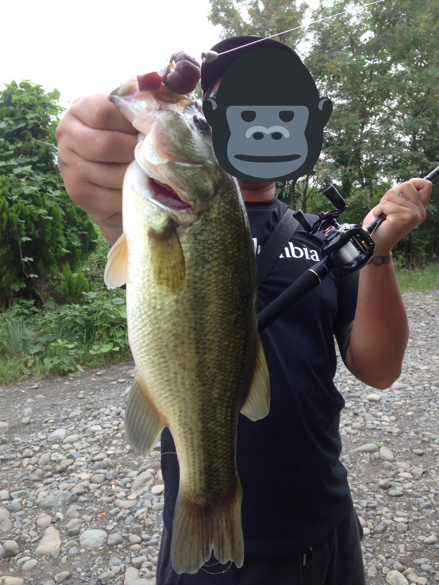 テキサスマスター Bass Texasstyle Twitter