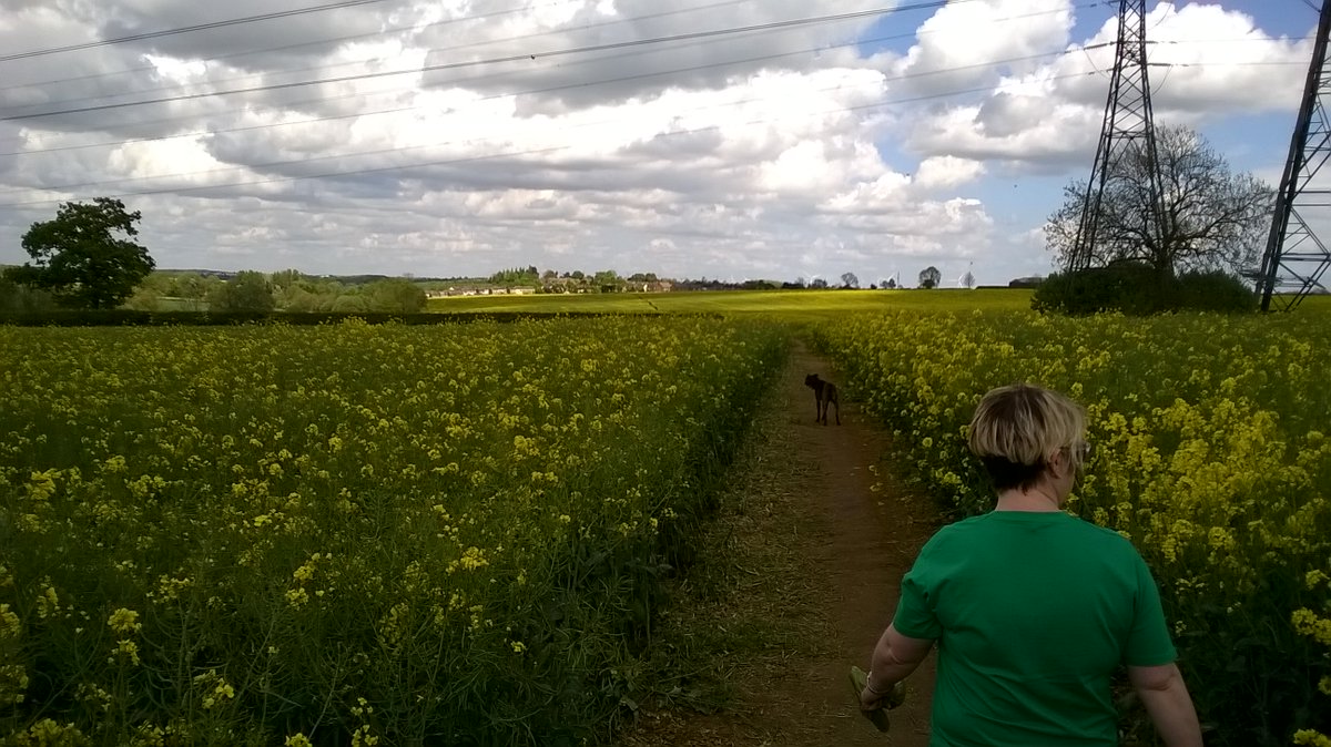 CommVoices's tweet image. Councillors Voting to Destroy Northamptonshire - Harry Mellor writes about the farce that is democracy in #Northamptonshire …rthamptonshire.communityvoices.org.uk/2018/08/28/cou…