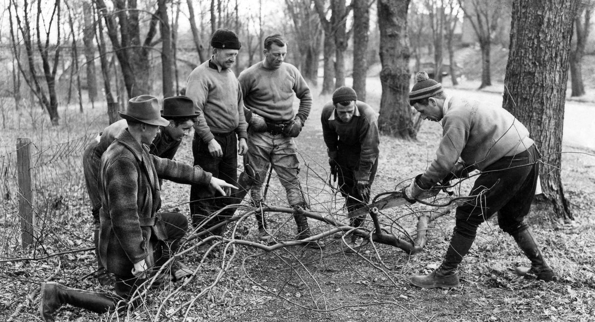 Asplundh (@Asplundh_Tree) | Twitter