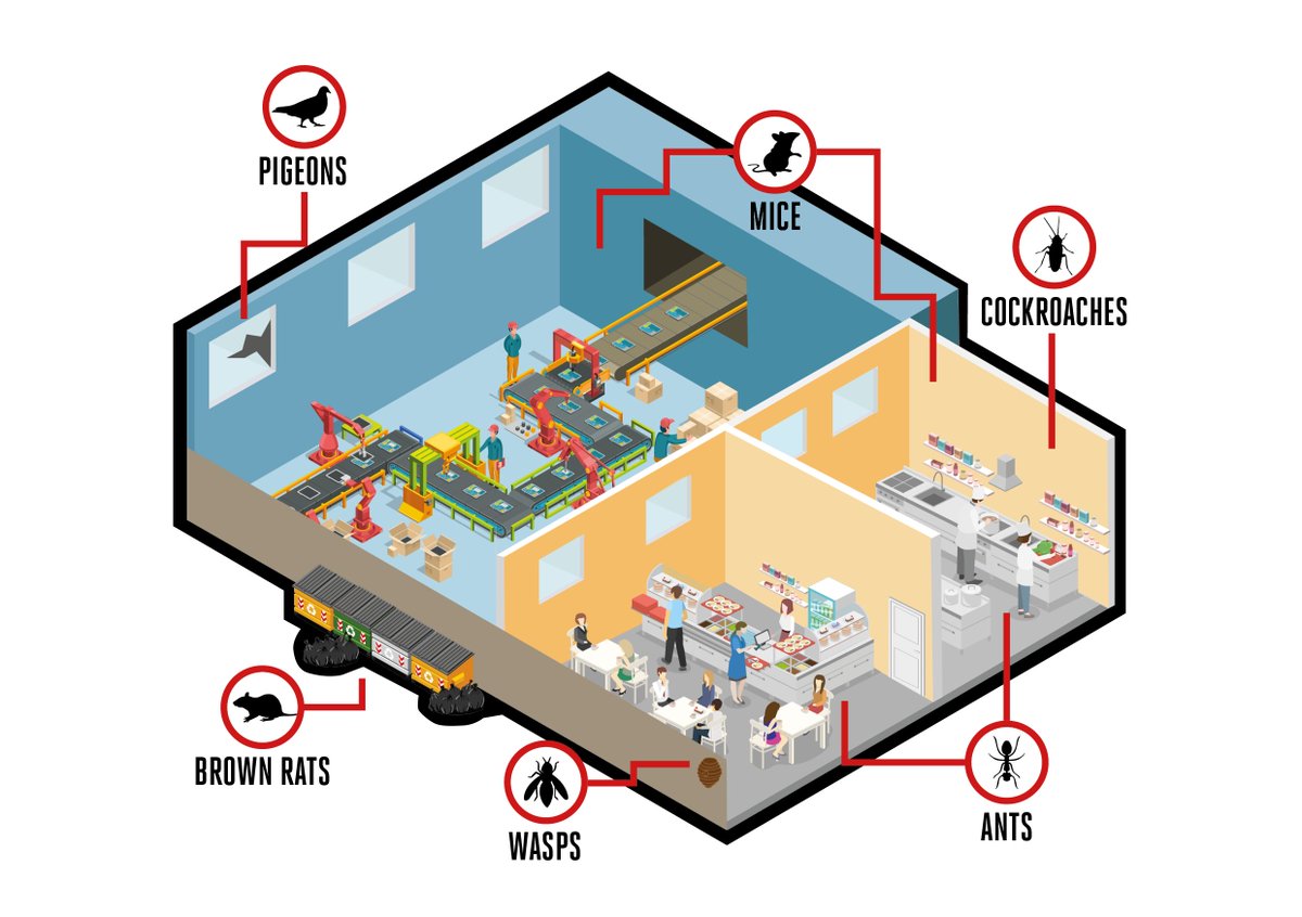 Pests in a manufacturing environment are not just an inconvenience but can potentially stop production. Undetected and untreated pest infestations can be a huge risk to any company.
See how to identify the most common pests and how to keep in control. -> ow.ly/V2Xi30lupb6