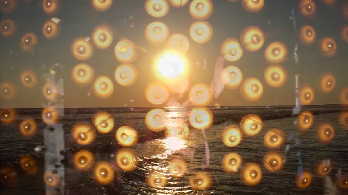 Cheptel Records tweet media