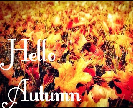 mgwvisualart's tweet photo. New card from Grenfell cards. #grenfellcards #hello #Autumn. #helloautumn https://t.co/xXnGvl3Fos