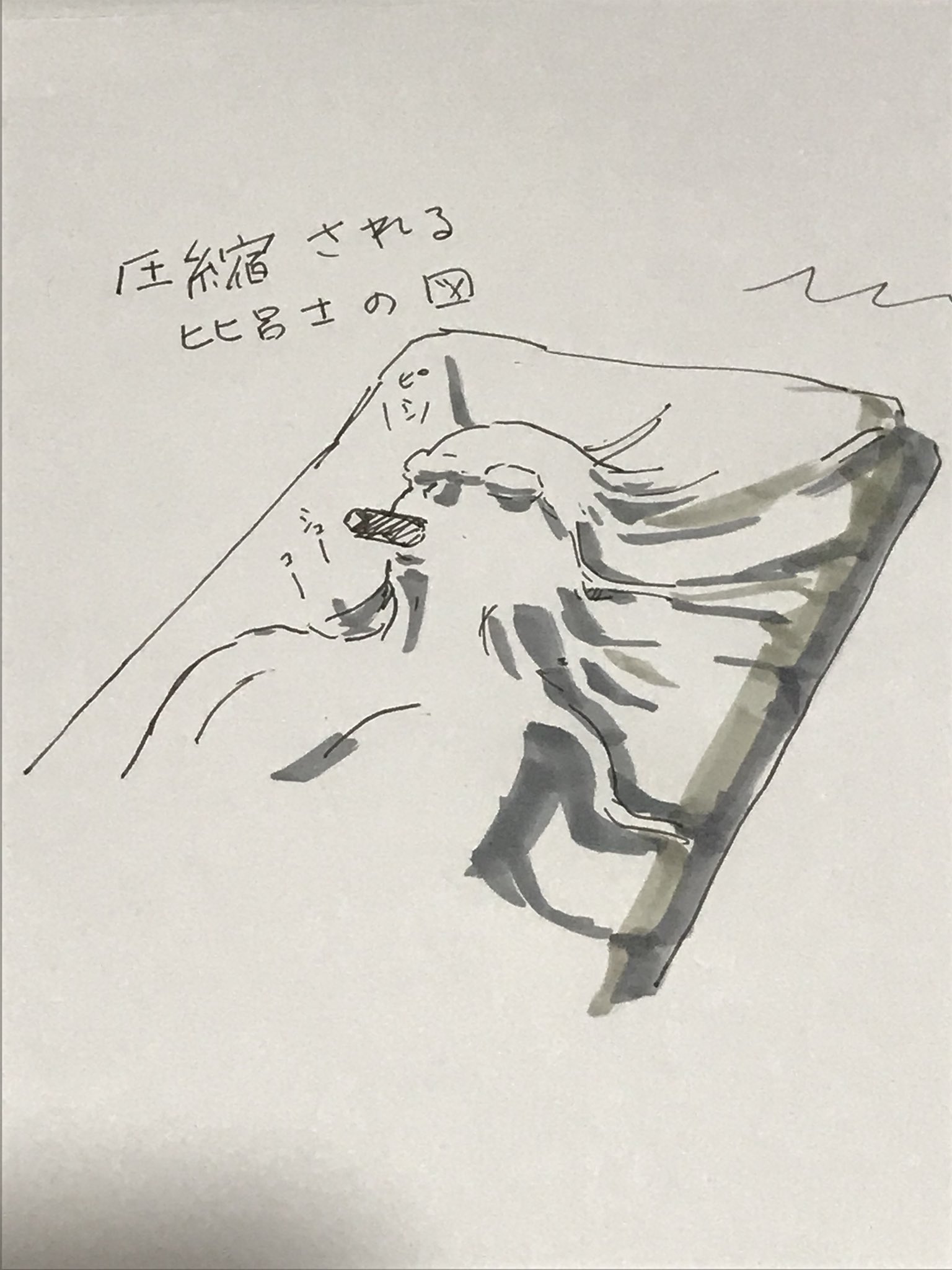 つぐみ (@syana__gumi) / X