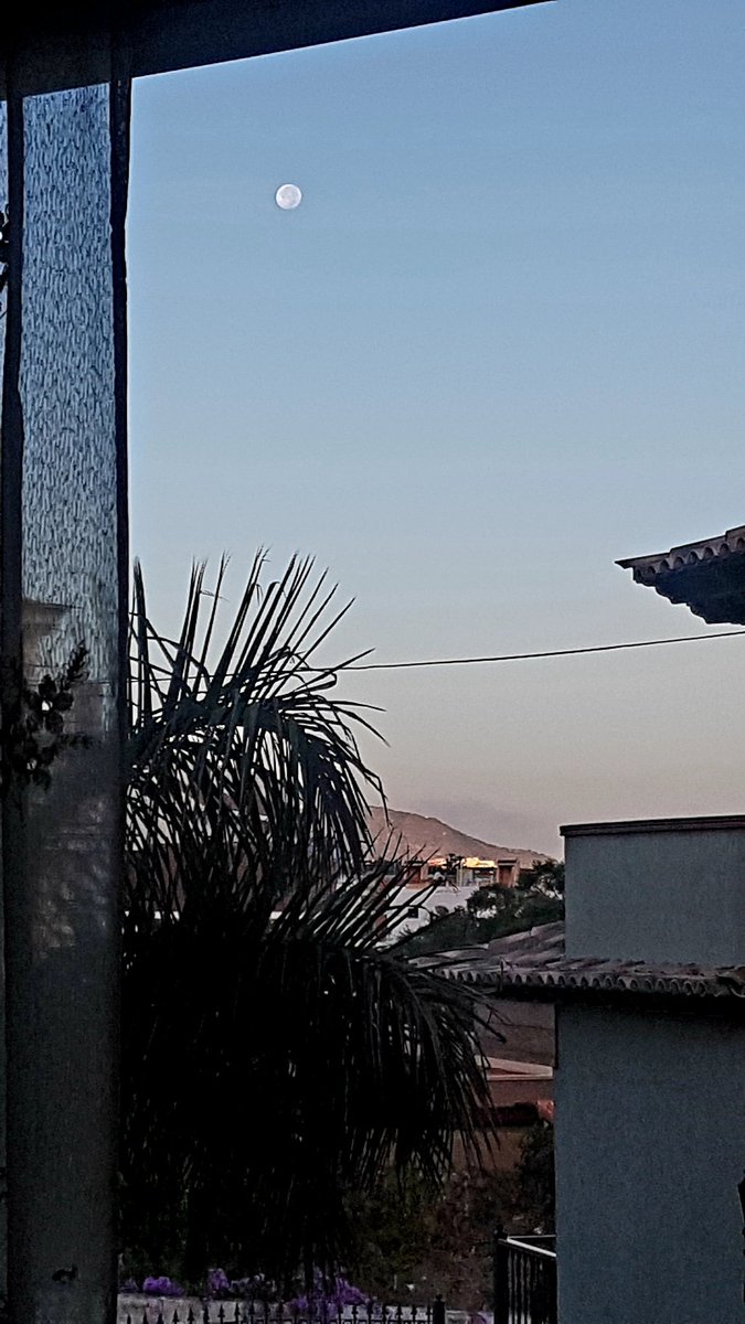 Vive el Norte (@viveelnorte) on Twitter photo Despertarte con esta vista!! Que más se puede pedir!! Feliz #Martes <a href="/VisitTenerifeES/">VisitTenerifeES</a> @Carlosenderos <a href="/VisitPtoCruz/">VisitPuertodelaCruz</a> <a href="/costamartianez/">Ocio Costa Martiánez</a> <a href="/HotelBotanico/">Hotel Botánico*****GL</a> @participatfe <a href="/brunellissteak/">Brunelli's</a> <a href="/Tenerife_Ocio/">Tenerife Ocio</a> <a href="/GFedola/">Grupo Fedola</a> <a href="/5ValledeGuerra/">I❤Valle de Guerra</a> <a href="/MeliaHacienda/">meliahacienda delconde</a> <a href="/KarateCanarias/">Fede Canaria Karate</a> <a href="/brunellissteak/">Brunelli's</a> <a href="/LoqueVeoTfe/">𝕊𝕖 𝕍𝕖 𝕖𝕟 𝕋𝕖𝕟𝕖𝕣𝕚𝕗𝕖</a> Despertarte con esta vista!! Que más se puede pedir!! Feliz #Martes <a href="/VisitTenerifeES/">VisitTenerifeES</a> @Carlosenderos <a href="/VisitPtoCruz/">VisitPuertodelaCruz</a> <a href="/costamartianez/">Ocio Costa Martiánez</a> <a href="/HotelBotanico/">Hotel Botánico*****GL</a> @participatfe <a href="/brunellissteak/">Brunelli's</a> <a href="/Tenerife_Ocio/">Tenerife Ocio</a> <a href="/GFedola/">Grupo Fedola</a> <a href="/5ValledeGuerra/">I❤Valle de Guerra</a> <a href="/MeliaHacienda/">meliahacienda delconde</a> <a href="/KarateCanarias/">Fede Canaria Karate</a> <a href="/brunellissteak/">Brunelli's</a> <a href="/LoqueVeoTfe/">𝕊𝕖 𝕍𝕖 𝕖𝕟 𝕋𝕖𝕟𝕖𝕣𝕚𝕗𝕖</a>