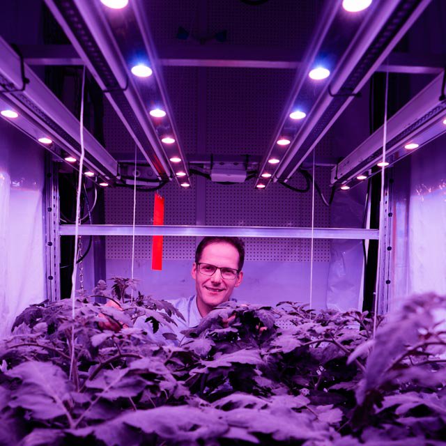 NWO_TTW's tweet photo. Superslimme leds kunnen het energieverbruik van de glastuinbouw halveren. Wat is daarvoor het ideale lichtrecept? Wetenschap en industrie zoeken samen naar het antwoord. #energie #WUR https://t.co/3aPy30jmLZ https://t.co/1DalysV3TV
