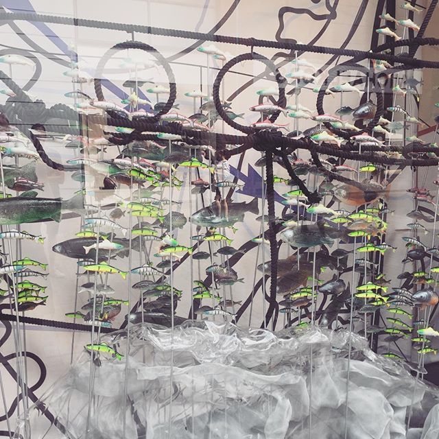 FishBristol's tweet photo. We don’t normally get excited by Harvey Nicholls but this fishy display is awesome! #bristol #fish #harveynichols #fishfanatic #fishinglife https://t.co/GNdPlGj2qa https://t.co/0uxvoSePBJ