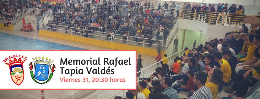 Balonmano Elda CEE tweet media