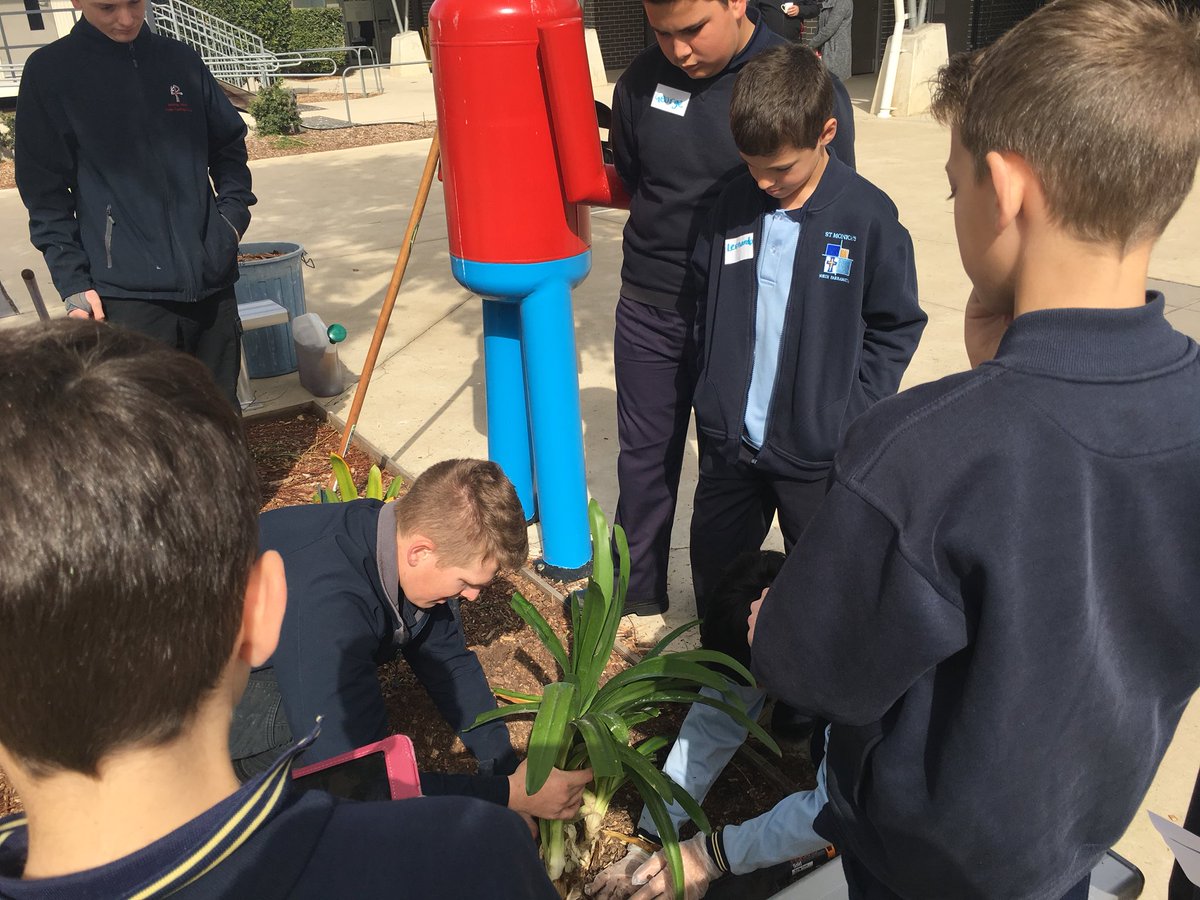 Putting our Money where our Mouth is for #NationalSkillsWeek2018 Vocational Skills Showcase for Primary Schools held at @McCarthyCTTC with  <a href="/CatholicEdParra/">Catholic Schools Parramatta Diocese</a> VET team. #RealSkillsforRealCareers #CEDPVET