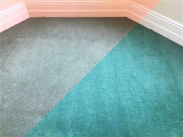 Clean Living Norfolk tweet media