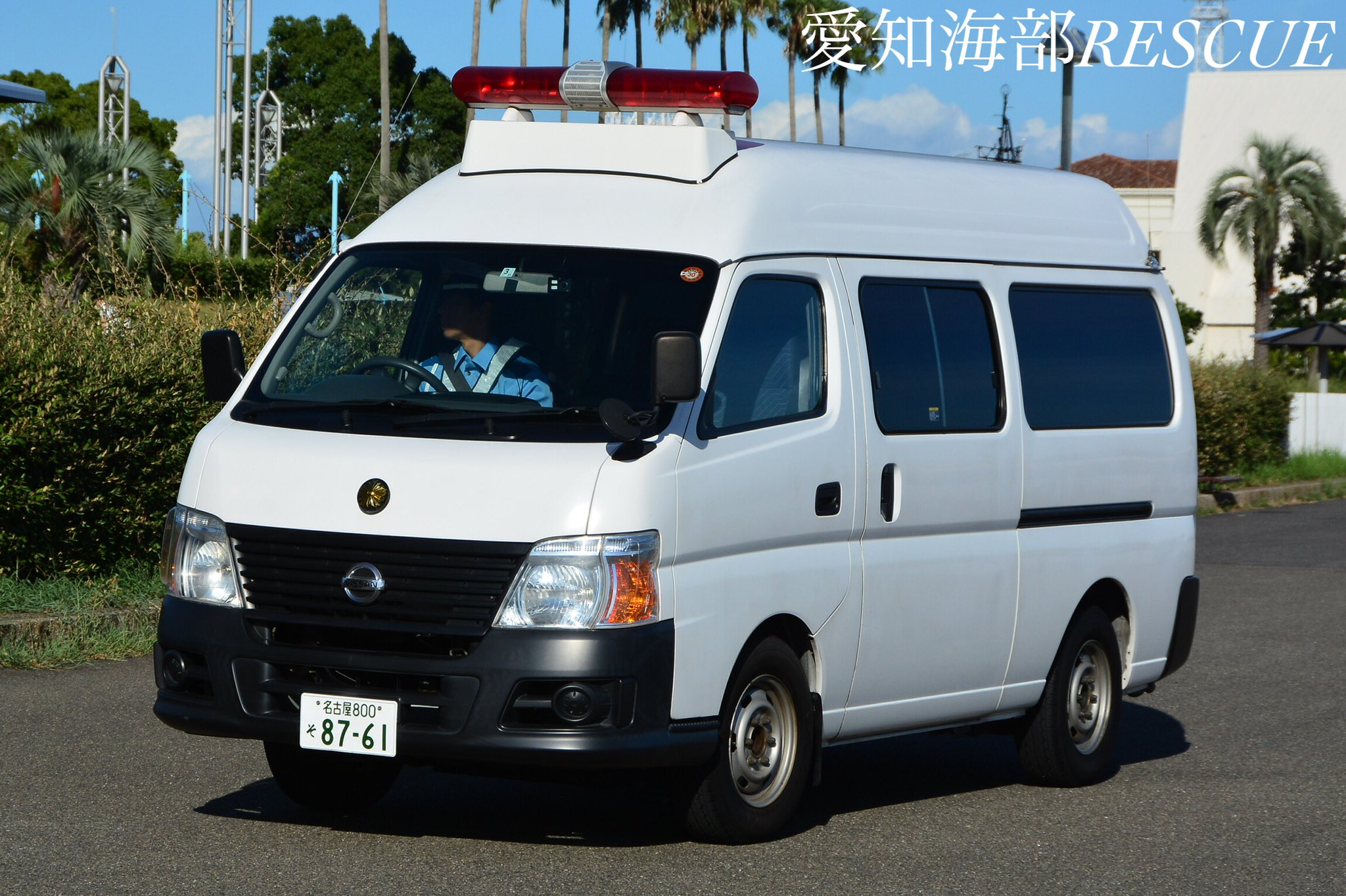 AICHI RESCUE on X: AICHI RESCUE on X: