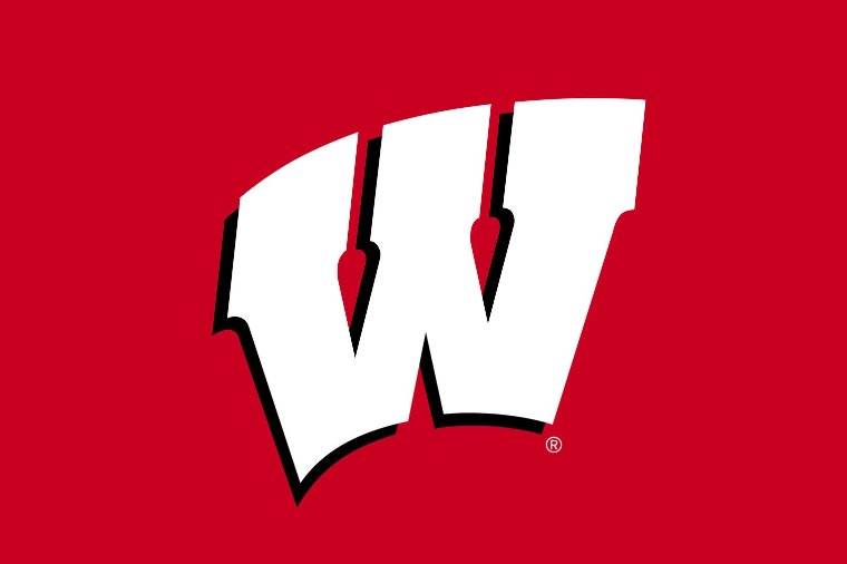 NCAAFL_'s tweet photo. *NEW HEAD COACH HIRED*

The @NCAAFL_ are happy to announce the unveiling of new Wisconsin Badgers head coach, Stefan, who takes the place of Daniel and joins Big 10 alongside Dylan (UMN), Jesus (PSU) &amp; Stefano (MSU).

Welcome Stefan and the Badgers! 🦡 #NCAAFL #B10 https://t.co/idMKtvOybs