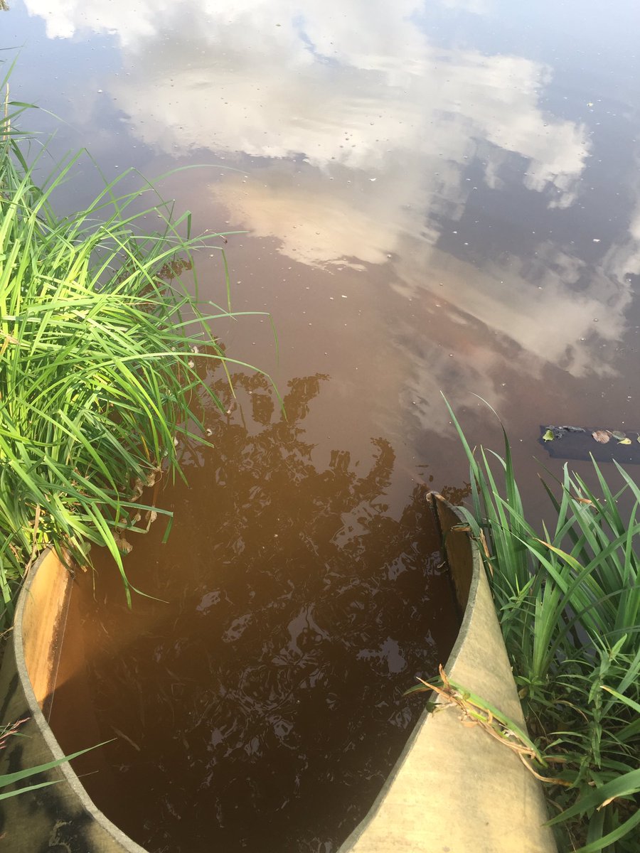 RaddatzWWF's tweet photo. Wir lernen heute in der Lausitz etwas über Bergbau und Folgen. Erster Stopp: #brauneSpree und was dagegen unternommen wird #insidepanda #protectwater #WorldWaterWeek #kohlefrei https://t.co/Rtc3bfuZVa
