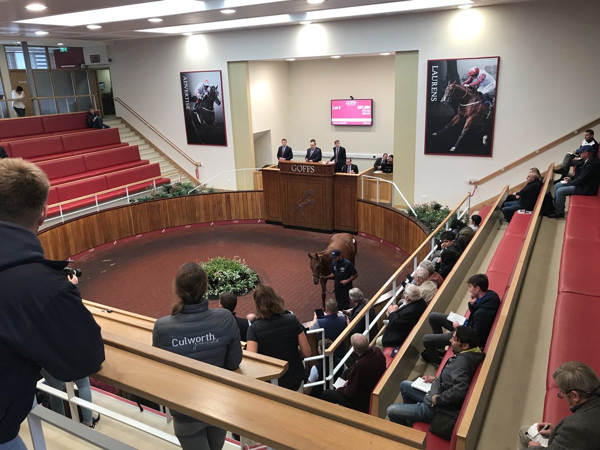 rpbloodstock's tweet photo. Goffs UK: lot 5, a Kheleyf half-brother to Gimcrack Stakes winner Sands Of Mali is knocked down to Richard Fahey for £67,000 https://t.co/WveGPDFABm