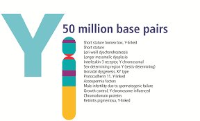 emmageorgette98's tweet photo. Estimation of the Y-Chromosomal Short Tandem Repeat (Y-STR) Mutation Rates in Uzbekistan
To view more articles: https://t.co/uQ9GXSdfJf
#Chromosomes #mutation #Genetics #ResearchHighlight #research #clinicaltrials #clinicalgenetics #PhD #investigator @emmageorgette98 https://t.co/ivSpJgW4fs