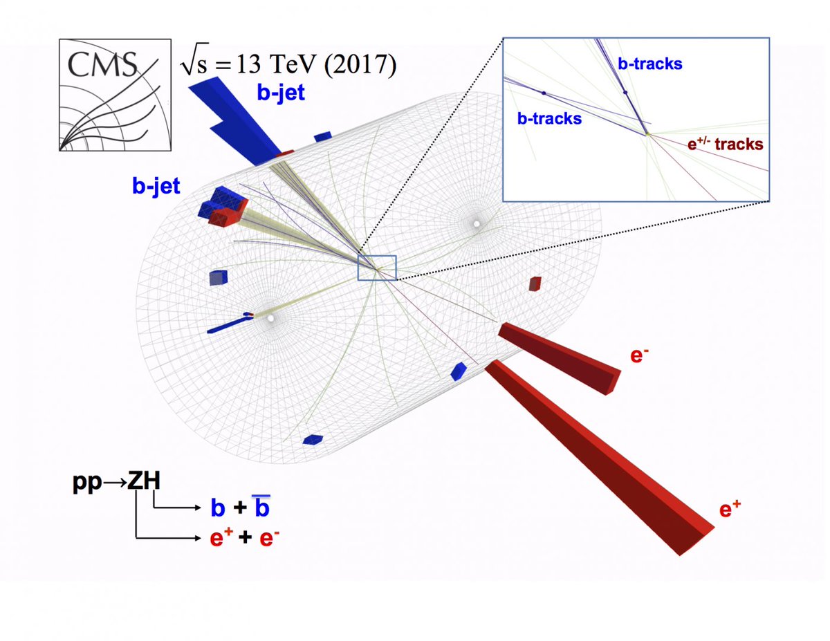 CERN's tweet photo. The @ATLASexperiment and @CMSexperiment at CERN have finally observed the long-sought decay of the Higgs boson to bottom quarks: https://t.co/Ogy5B7SOga

Watch the webcast of the LHC seminar: https://t.co/zTjbIhtv0z https://t.co/kOOY7MPiBg