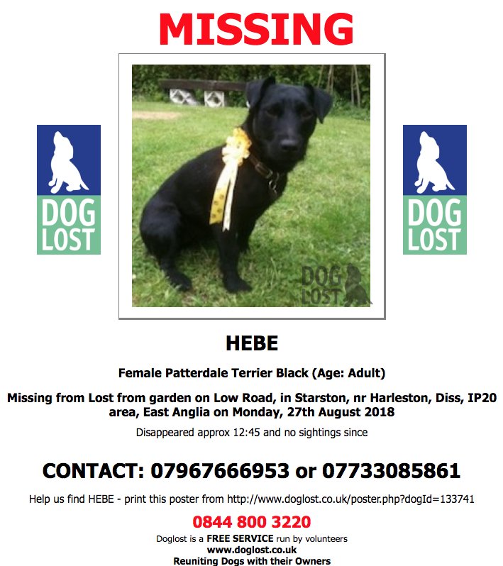 DogLostUK's tweet photo. https://t.co/jt1sXwNKjV 
#LOST  #DOG  HEBE
Female #PatterdaleTerrier 
#Starston #Harleston #Diss #IP20 
Monday, 27th August 2018    #LostDog  #ScanMe https://t.co/u64NPiKeE1 @VetsGetScanning @SAMPAuk_ https://t.co/RWuo0QeXMt
