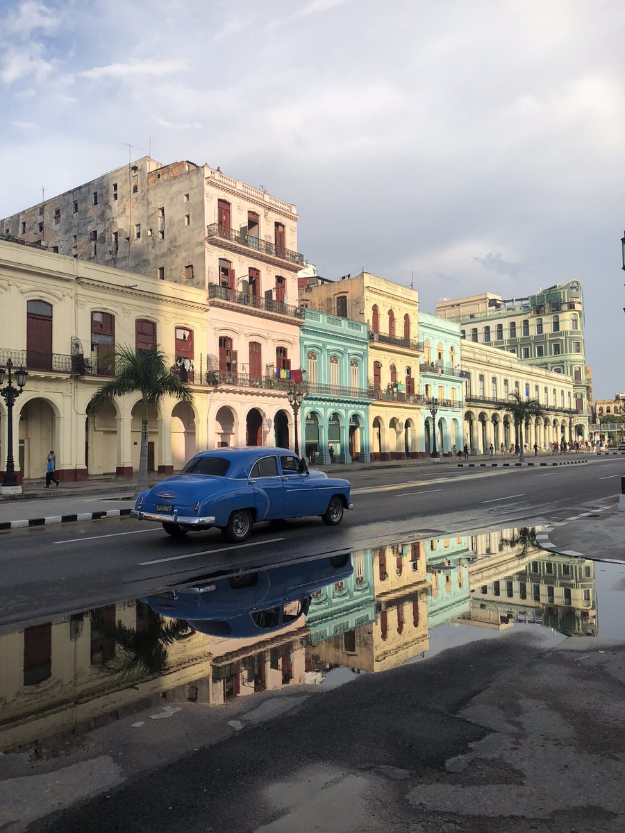 Emma Salmon tweet media